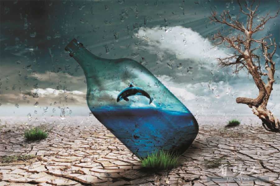 愛護濕地保護森林 讓地球綠起來