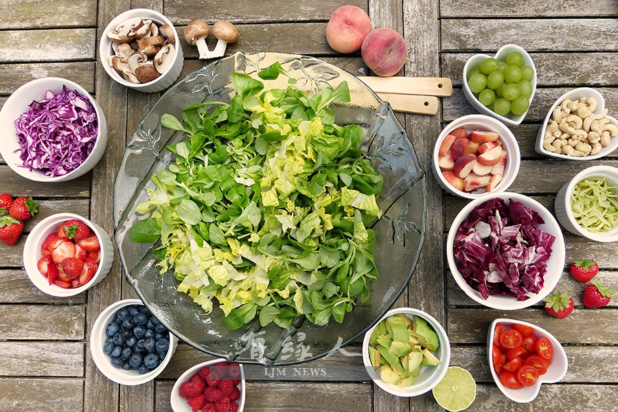 素食》養護身命