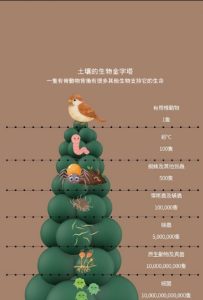 大地的呼吸守護腳下的古老智慧 土壤與我們的「共好」之路